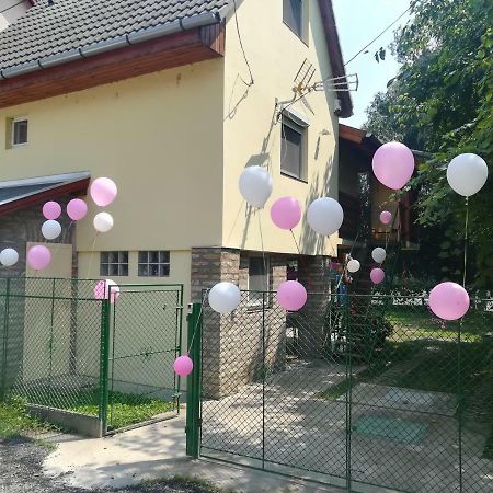 Tiszavirag Vendeghaz Villa Szeged Bagian luar foto